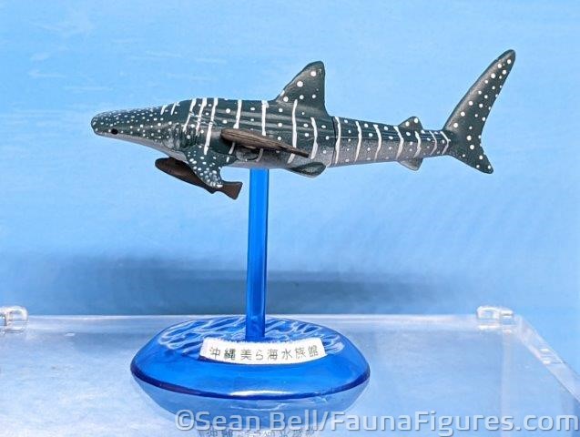 Read more about the article FigureFocus 322 ForCorporation Churaumi Aquarium Whale Shark